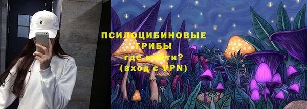 первитин Богородицк
